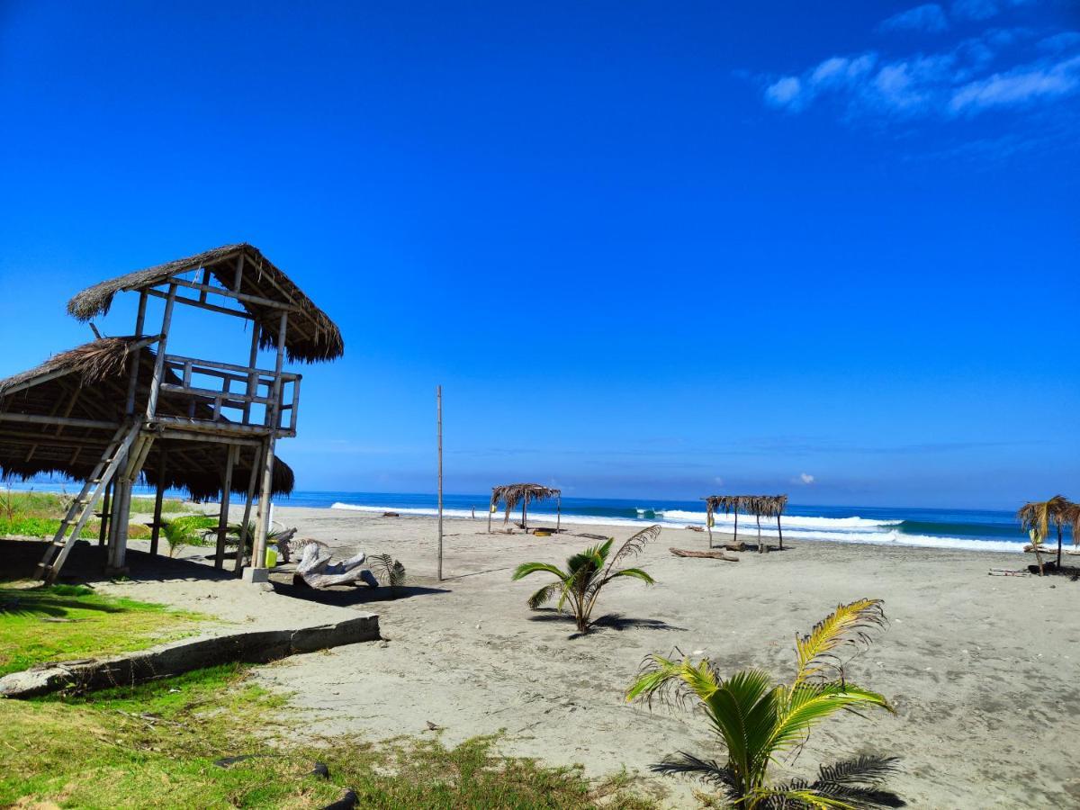 Hotel Punta Azul Pedernales Εξωτερικό φωτογραφία